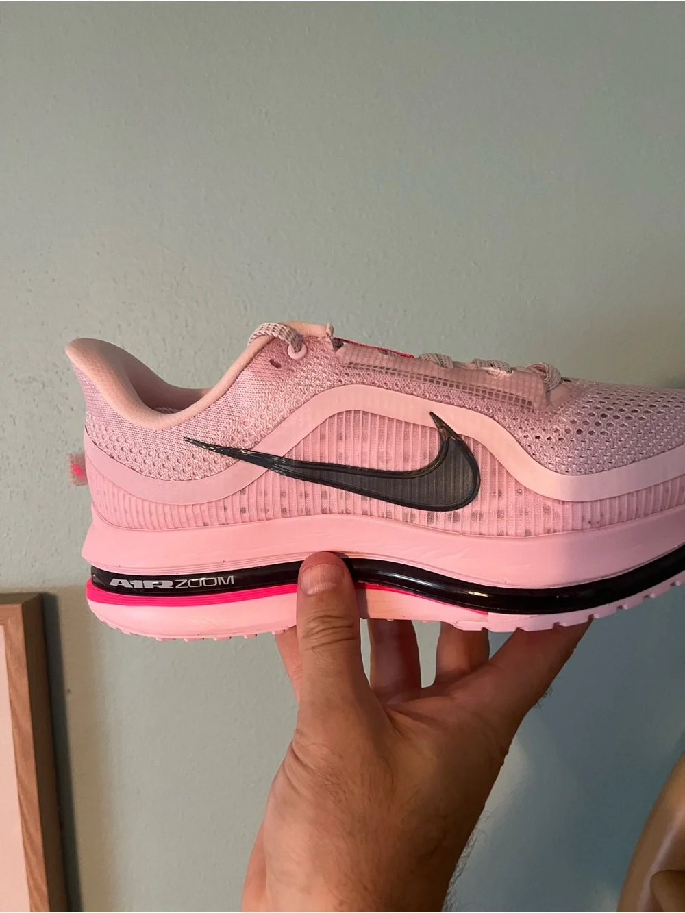 Nike mens pegasus